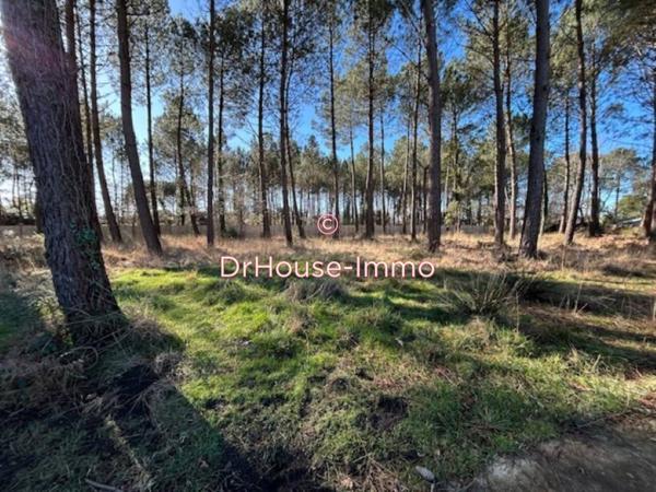 Terrain à vendre de 950 m²