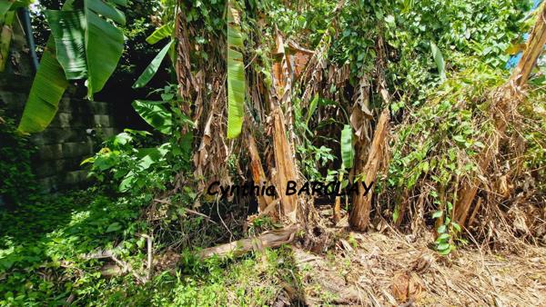 Maison à FORT DE FRANCE (97200)
