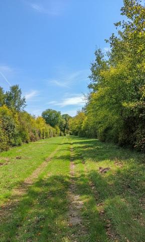Forêt de chasse de 18 hectares à BENON