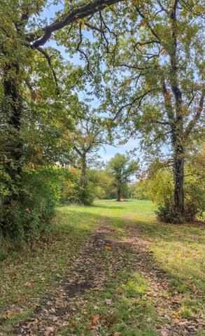 Forêt de chasse de 18 hectares à BENON