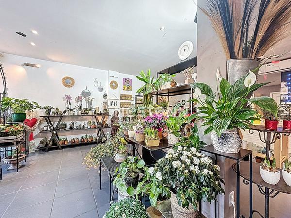 Fonds de commerce Fleuriste Rosendaël 120 m2