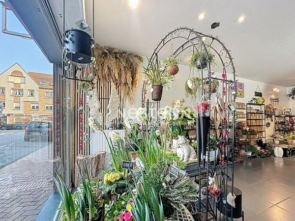 Fonds de commerce Fleuriste Rosendaël 120 m2