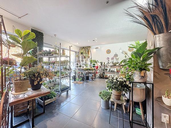 Fonds de commerce Fleuriste Rosendaël 120 m2