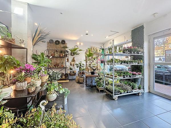 Fonds de commerce Fleuriste Rosendaël 120 m2