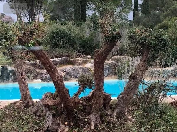 Achat - Maison Vidauban 83550 7 pièces 143 m 2 2000 m 2