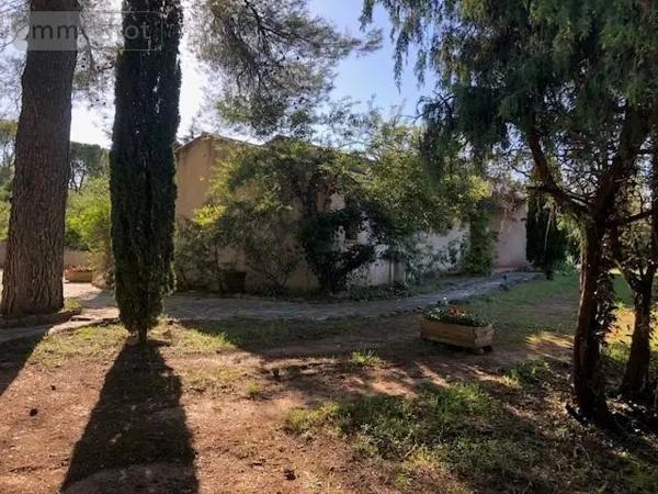 Achat - Maison Vidauban 83550 7 pièces 143 m 2 2000 m 2