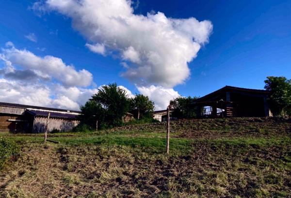 À découvrir – Propriété agricole de 17,4 ha à vendre Saint-Nauphary (82)