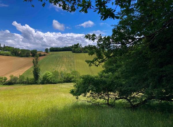 À découvrir – Propriété agricole de 17,4 ha à vendre Saint-Nauphary (82)