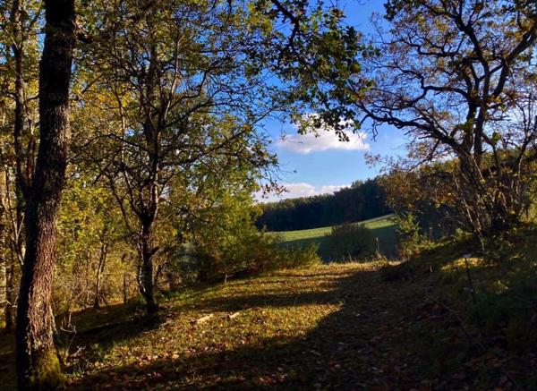 À découvrir – Propriété agricole de 17,4 ha à vendre Saint-Nauphary (82)