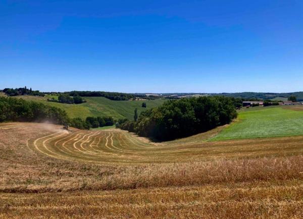 À découvrir – Propriété agricole de 17,4 ha à vendre Saint-Nauphary (82)
