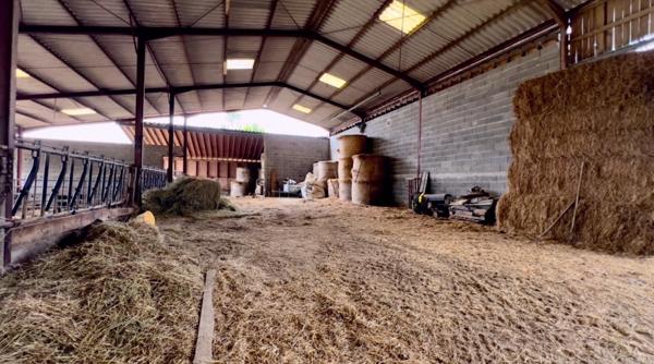 À découvrir – Propriété agricole de 17,4 ha à vendre Saint-Nauphary (82)