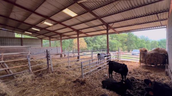 À découvrir – Propriété agricole de 17,4 ha à vendre Saint-Nauphary (82)