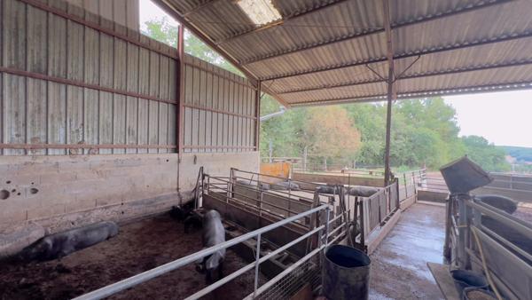 À découvrir – Propriété agricole de 17,4 ha à vendre Saint-Nauphary (82)