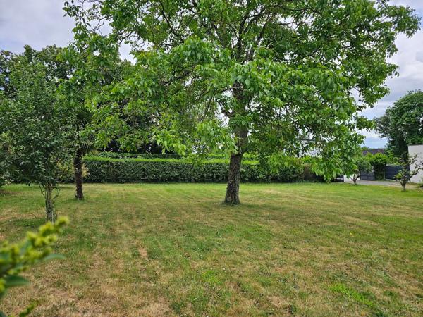Terrain Briollay 569 m2 - A Viabiliser