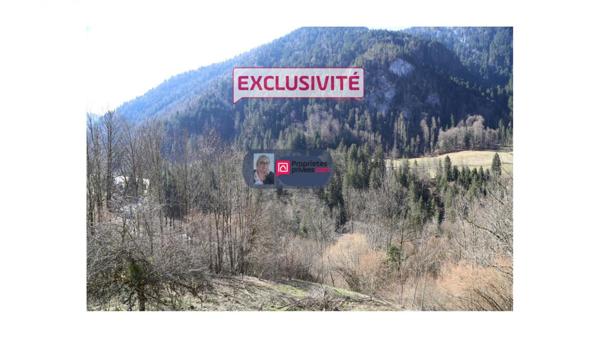74340-Situé à Saint jean d'aulps -terrain contructible -proche Morzine- (Haute-Savoie)