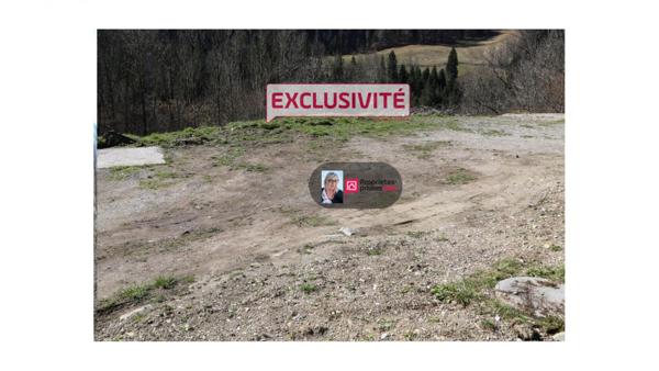 74340-Situé à Saint jean d'aulps -terrain contructible -proche Morzine- (Haute-Savoie)