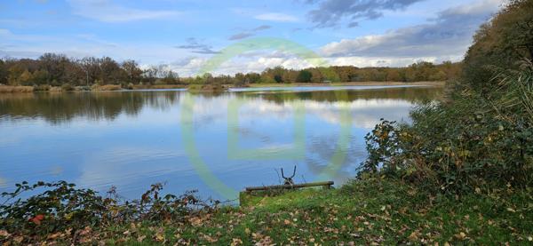 Etang à MEZIERES EN BRENNE (36290)