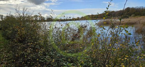 Etang à MEZIERES EN BRENNE (36290)