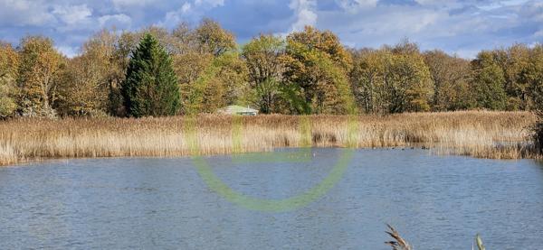 Etang à MEZIERES EN BRENNE (36290)