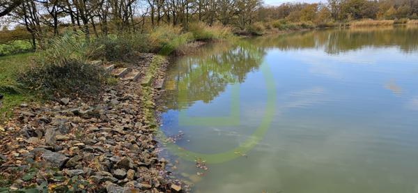 Etang à MEZIERES EN BRENNE (36290)