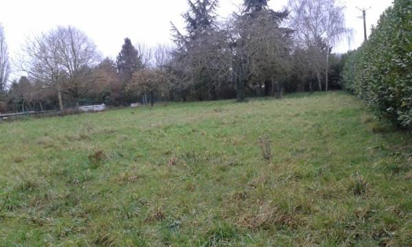 TERRAIN à BATIR à SAINT BENOIT SUR LOIRE proche du centre ville