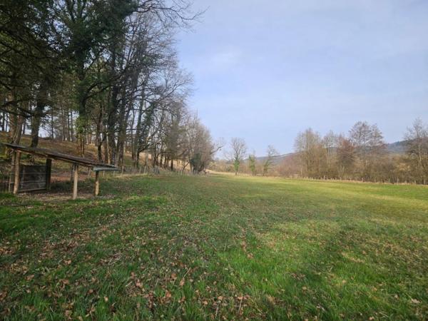 Propriété jurassienne, 245m2 de surface habitable et 4 Ha de terrain attenant