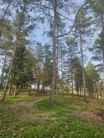 Propriété jurassienne, 245m2 de surface habitable et 4 Ha de terrain attenant