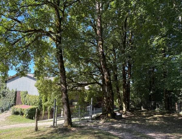 Propriété jurassienne, 245m2 de surface habitable et 4 Ha de terrain attenant