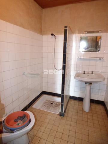 Lannemezan (65300) ENSEMBLE IMMOBILIER AGRICOLE