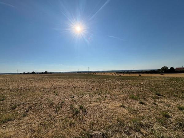 EN VENTE - GERMIGNY/LOIRE - MAISON PLAIN PIED 2 CHAMBRES TERRAIN