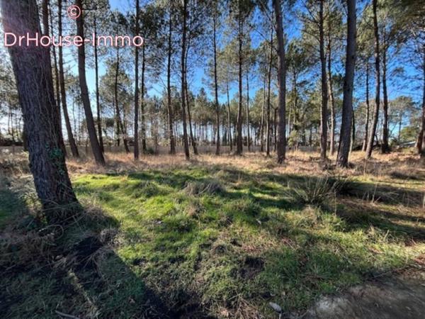 Terrain à vendre de 950 m²