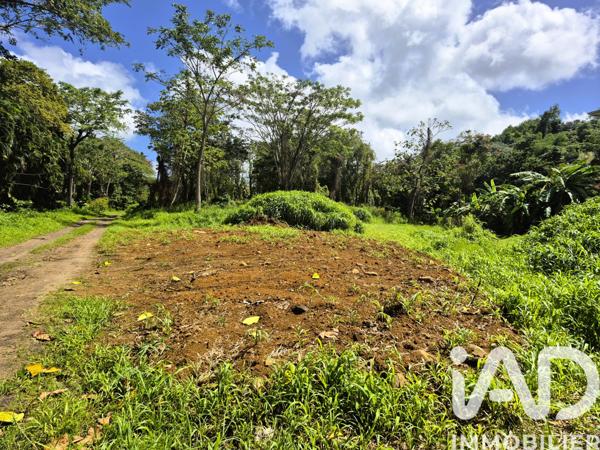 Terrain à vendre 3 292 m² Ducos