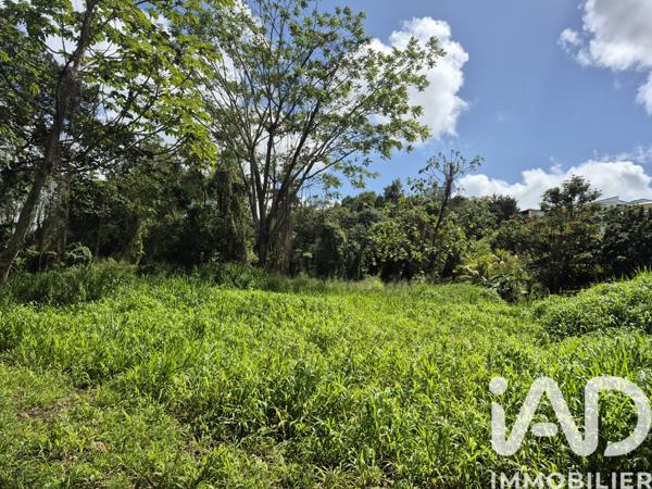 Terrain à vendre 3 292 m² Ducos