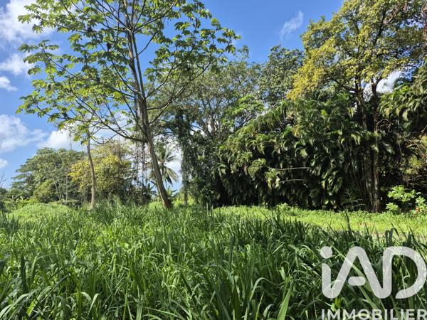 Terrain à vendre 3 292 m² Ducos