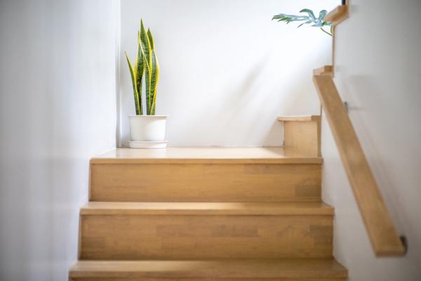 Appartement à vendre duplex 5 pièces de 109m² - LE PLESSIS ROBINSON (92)