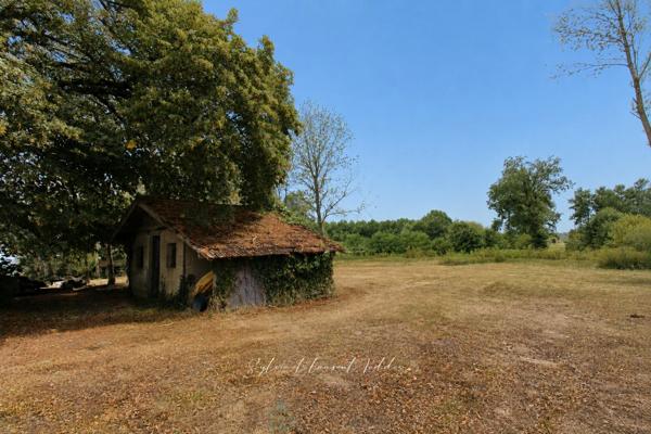 MAISON BOURGEOISE EN PIERRE RENOVEE AVEC PISCINE, DEPENDANCES ET PLUS DE 3,6 HECTARES DE TERRAIN
