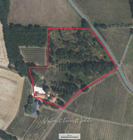 MAISON BOURGEOISE EN PIERRE RENOVEE AVEC PISCINE, DEPENDANCES ET PLUS DE 3,6 HECTARES DE TERRAIN