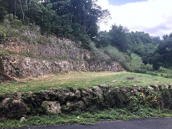 Gosier (97190) Terrain d'exception en pleine nature, calme et tranquillité assurée.