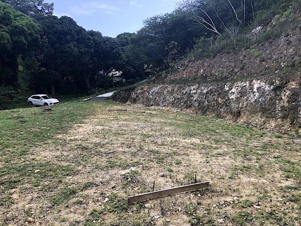 Gosier (97190) Terrain d'exception en pleine nature, calme et tranquillité assurée.