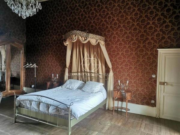 Splendide Château Médiéval Classé - Château se distingue par son élégance sur un domaine d’environ 13 hectares mêlant bois, prairies.