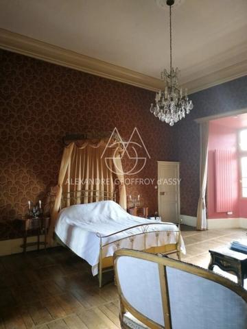 Splendide Château Médiéval Classé - Château se distingue par son élégance sur un domaine d’environ 13 hectares mêlant bois, prairies.