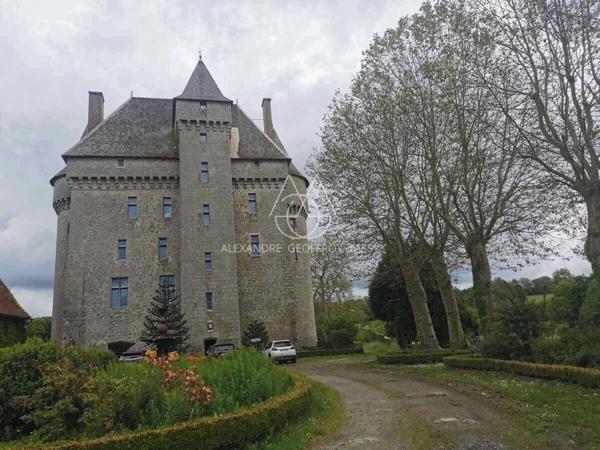 Splendide Château Médiéval Classé - Château se distingue par son élégance sur un domaine d’environ 13 hectares mêlant bois, prairies.