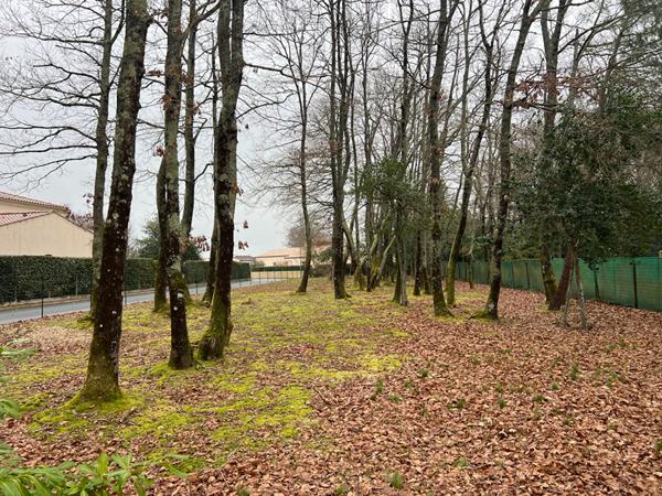 JOLI TERRAIN ATYPIQUE CONSTRUCTIBLE - 2 PAS DU CENTRE