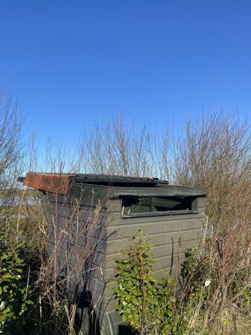 Bois-de-Céné (85710) BOIS-DE-CENE - MARAIS DE PLUS DE 3HA AVEC TONNES