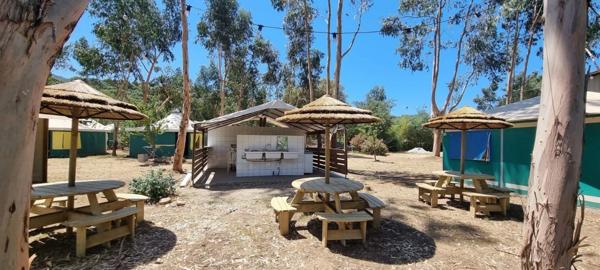 🌿 À VENDRE – Terrain de loisirs 4 hectares en bord de plan d’eau – Proche Propriano (Sud Corse)