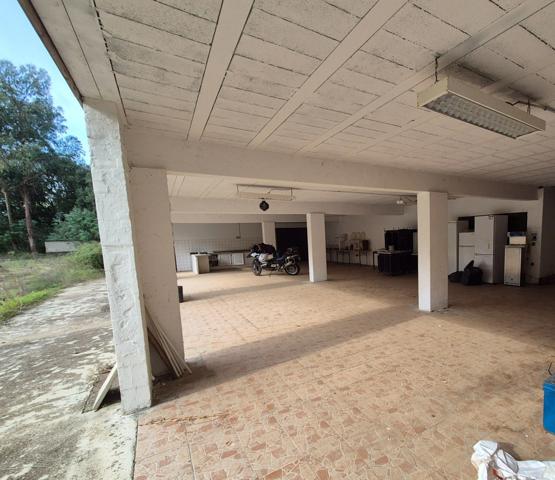 🌿 À VENDRE – Terrain de loisirs 4 hectares en bord de plan d’eau – Proche Propriano (Sud Corse)