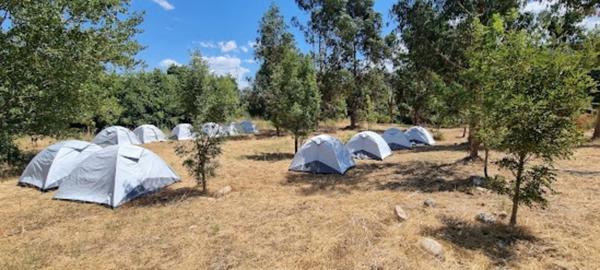 🌿 À VENDRE – Terrain de loisirs 4 hectares en bord de plan d’eau – Proche Propriano (Sud Corse)