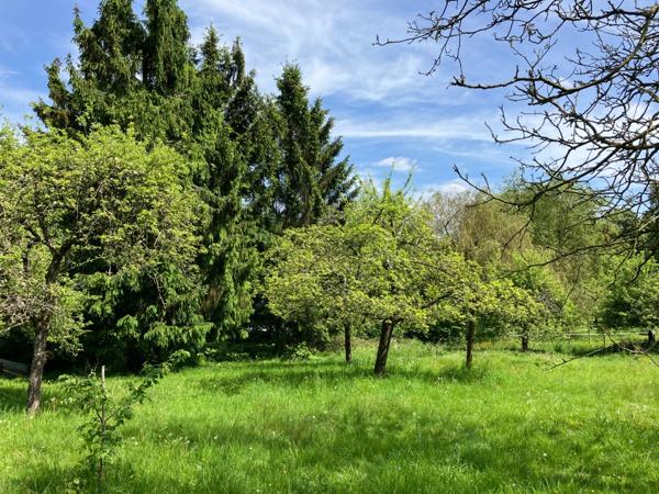 Belle Propriété Atypique et Rare