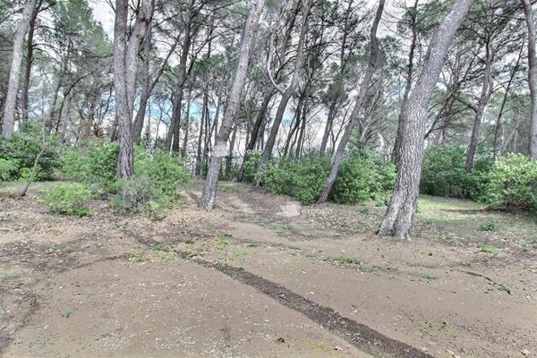 Maison 5 pièces sur 1 hectare de forêt  - Fuveau 13710 - 670 000