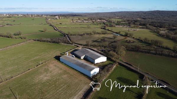 Gramat (46500) A céder exploitation d’élevage ovin 60 HA avec 130HA en location dans le LOT 46 OCCITANIE